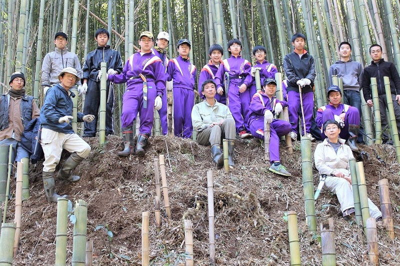 竹林伐採活動-3