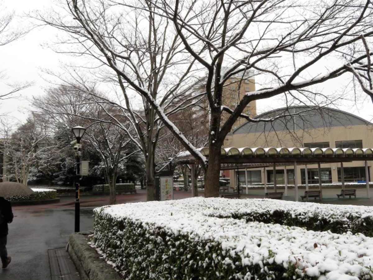 つくばで2 の積雪 あす10日の入試2時間繰り下げ 筑波学院大