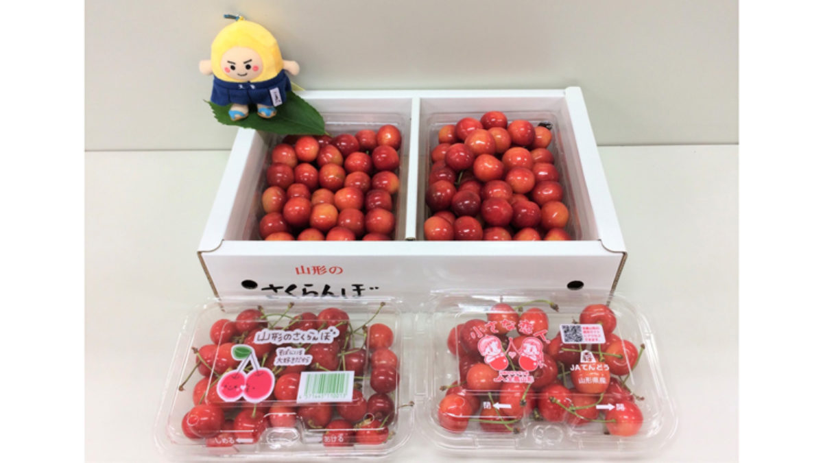 天童発 赤い宝石 土浦着 22 23日にサクランボ販売のフェア開催