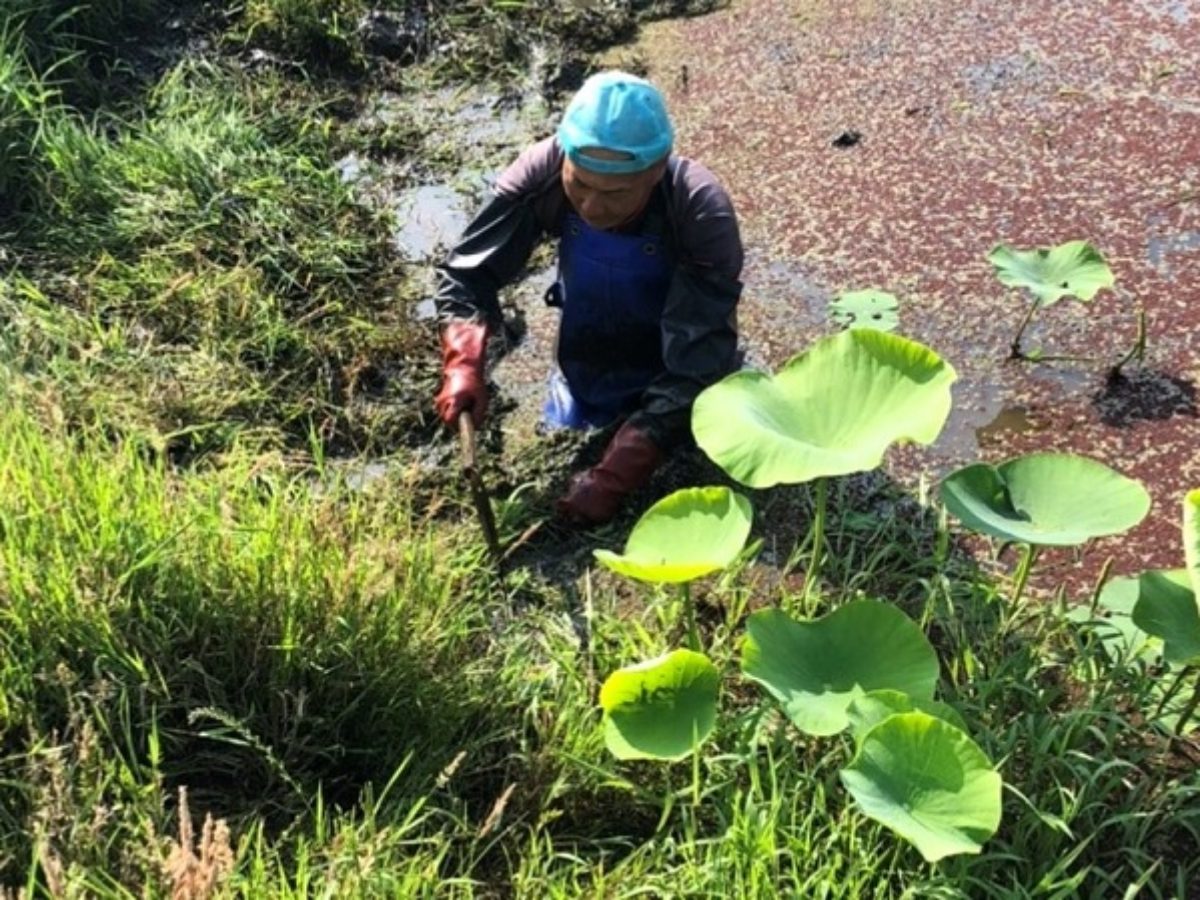 すきま時間で農業を シェアフルが県内農家の仕事紹介