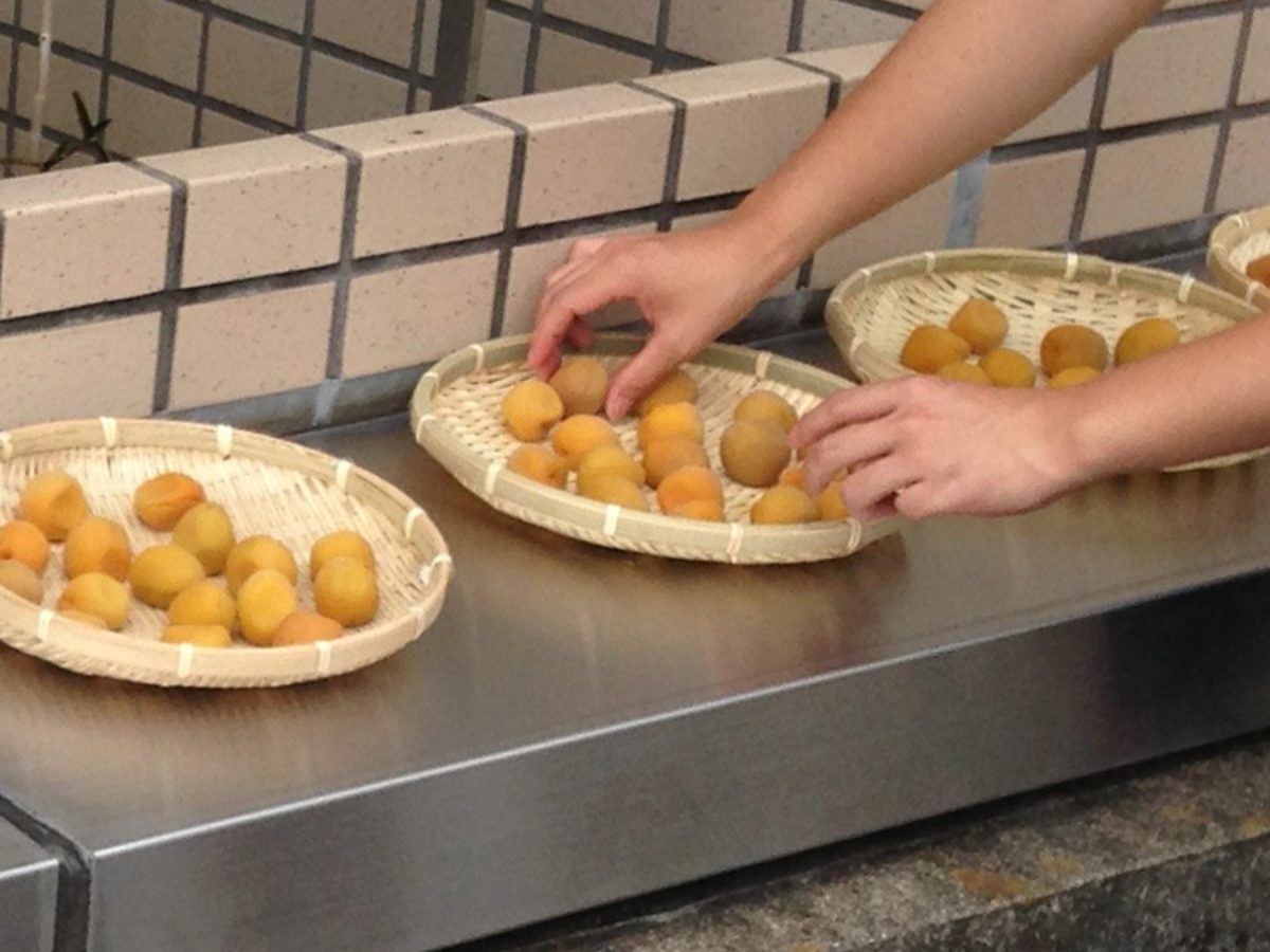 県南の食生活 15 梅干し
