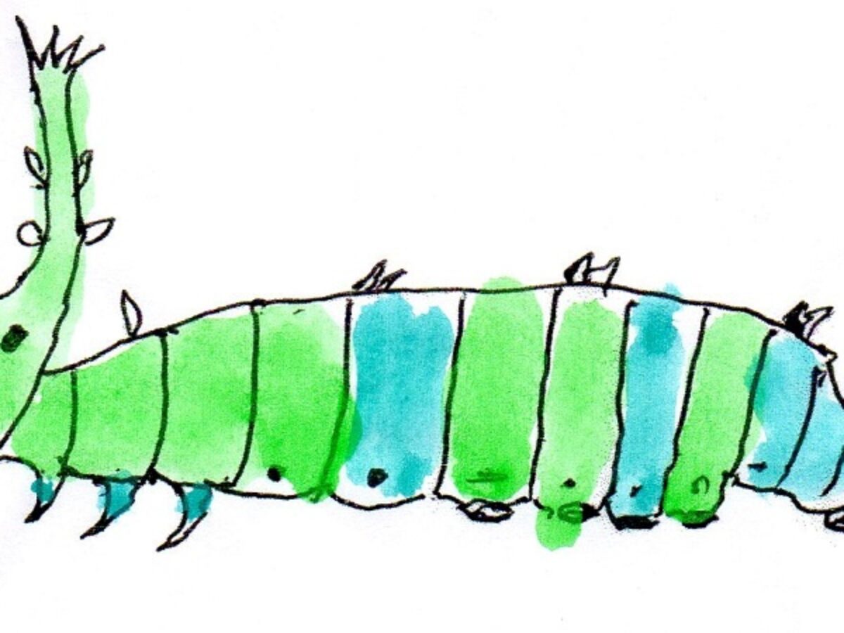 オオムラサキを見に行こう くずかごの唄 90