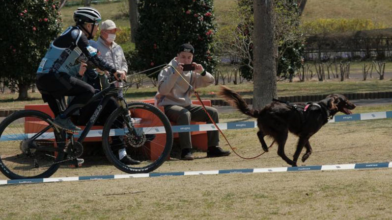 3/26・27 土浦レイクサイドバイクロア2 @ 霞ヶ浦総合公園 | 土浦市 | 茨城県 | 日本
