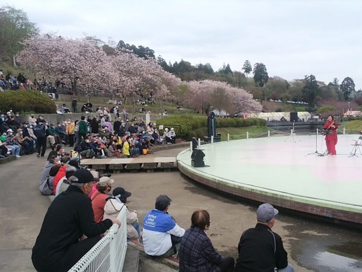 桜と日本人 邑から日本を見る 110