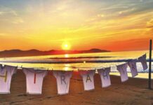 天才たちの老後(3)学園都市という場《看取り医者は見た!》39