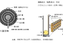 花火は「安全」の二文字が最優先《見上げてごらん!》43