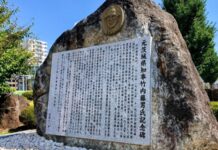 TX県内延伸 3期目知事の作戦《吾妻カガミ》210