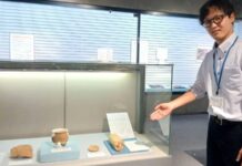 出土品の文字から遺跡の性格探る 開館30周年企画展 土浦