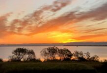 日米に見る軍隊のおかしな使い方《吾妻カガミ》212