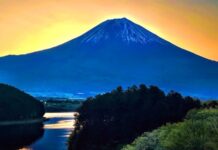 日本人はロボットとの親和性が高い?《看取り医者は見た!》47