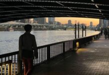 孤独は病か?それとも恋の予兆か?《看取り医者は見た!》49