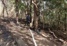 つくば市平沢で林野火災 女性がやけど