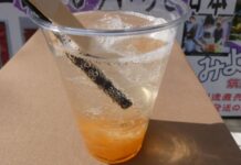 廃棄していた果肉を活用 福来みかんのドリンク開発 筑波山神社参道の土産店