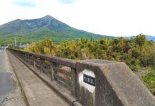 教師に必要な「臨床知」《竹林亭日乗》40