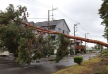 道路冠水や倒木被害相次ぐ つくば、土浦 台風6号