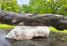 世捨て人のような、この半年《ハチドリ暮らし》63