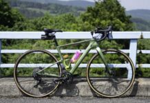 バイシクル・ダイアリーズ ⑸《ことばのおはなし》96