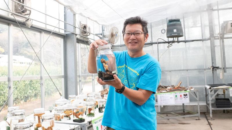 キノコ食文化の奥深さを紹介 筑波実験植物園で企画展